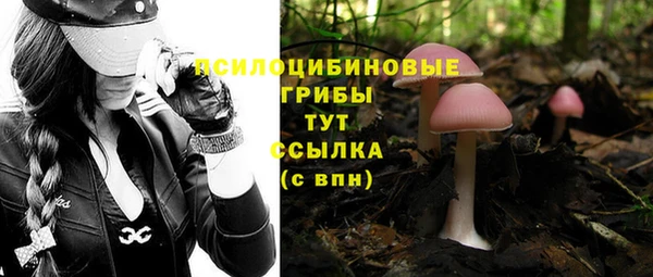 круглые Дмитровск