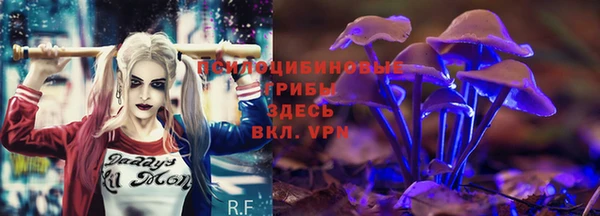 МДМА Дмитриев
